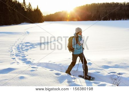 Winter sport activity. Woman hiker hiking with backpack and snowshoes snowshoeing on snow trail forest in Quebec, Canada at sunset. Beautiful landscape with coniferous trees and white snow.