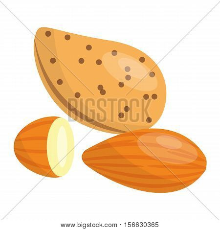 Heap of various kinds of nuts. Pile of nuts almond, nut isolated on white. Pile of nuts organic healthy seed ingredient and pile of nuts heap almond nature nuts.