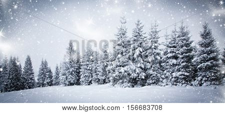 christmas background of snowy winter landscape with snow or hoarfrost covered fir trees - winter magic holiday