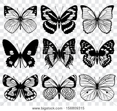 Butterfly silhouettes vector macro collection. Set of butterfly set, illustration of black silhouette butterflies