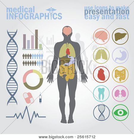 Lékařské infografiky. Prezentace sada. Lidské tělo s vnitřní orgány a tlačítka. Diagram (graf