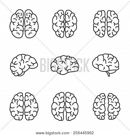 Brain Mind Icon Set. Outline Set Of Brain Mind Vector Icons For Web Design Isolated On White Backgro