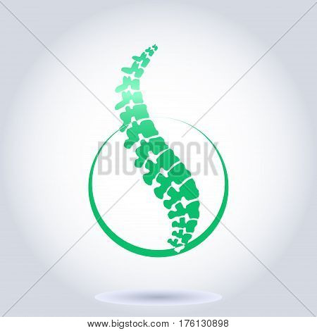 Human spine isolated on a white background. Vector illustration. Green silhouette of spine.  symbol of diagnostic. Vector. human spine silhouettes. Spine.Logo element