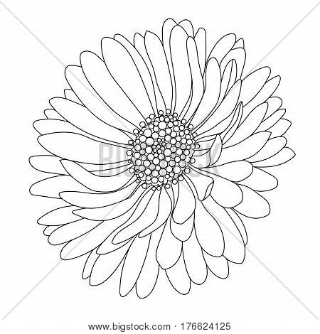 Graphical black flower illustration. black flower, contour flower, bloom flower, decorative flower, isolate flower, blossom flower, monochrome flower. Vector.