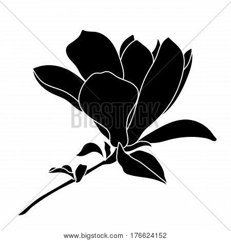 Graphical black flower illustration. black flower, contour flower, bloom flower, decorative flower, isolate flower, blossom flower, monochrome flower. Vector.