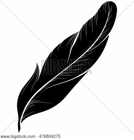 Feather Bird Silhouette. Black Vector Hand Drawn Illustration Isolated On White. Simple Flat Style. 