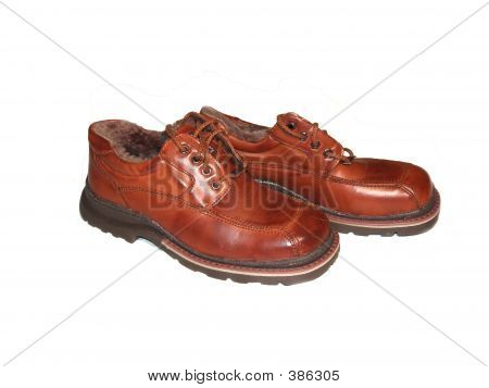 Isolated Brown Leather Shoes