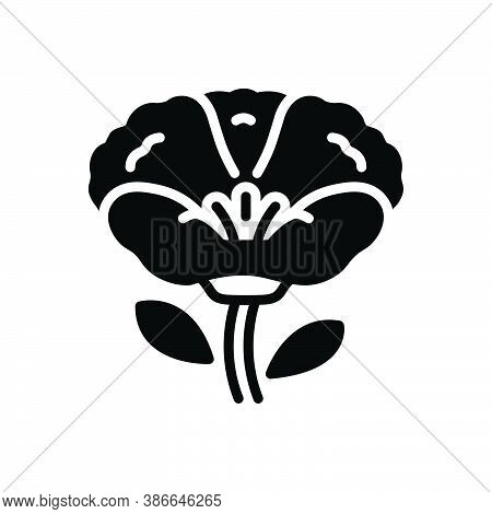 Black Solid Icon For Poppy Papaveraceae Mawseed Opium-poppy Breadseed Horticulture Celandine Natural