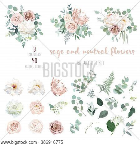 Pale Pink Camellia, Dusty Rose, Ivory White Peony, Blush Protea, Nude Pink Ranunculus, Eucalyptus Bi