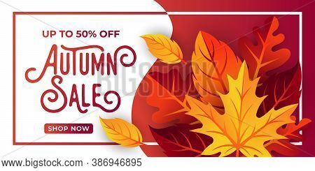 Autumn sale. Autumn sale vector. Autumn sale background. Autumn sale illustration. Autumn sale design. Autumn season sale. Autumn sale template. Autumn sale vector background. Autumn sale vector for background, banner, poster, flyer template