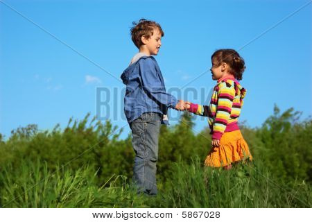 jonge geitjes bij groene weide hand in hand