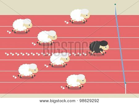 Sheep Race