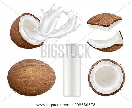 Coconut Collection. Fresh Tropical Coco Fruit With Milk Vector Nature Coconuts Realistic Illustratio