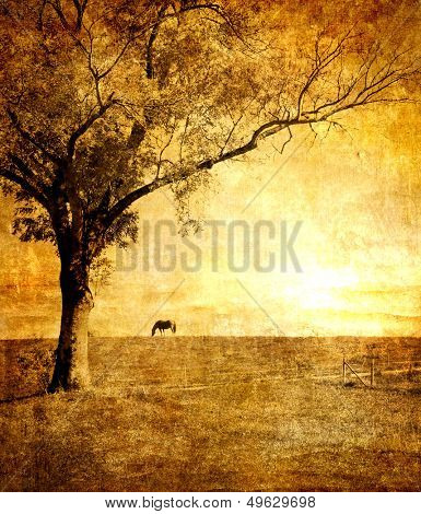 golden sunset - artistic toned picture