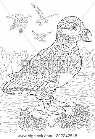 Coloring page of puffin a hole-nesting auk (seabird) of northern and Arctic waters. Freehand sketch drawing for adult antistress coloring book in zentangle style.