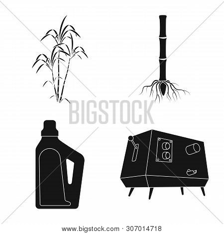 Isolated Object Of Sucrose And Technology Logo. Collection Of Sucrose And Cane Vector Icon For Stock