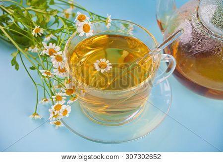 Glass Of Healthy Herbal Camomille Tea. Naturopathy. Matricaria Chamomilla.