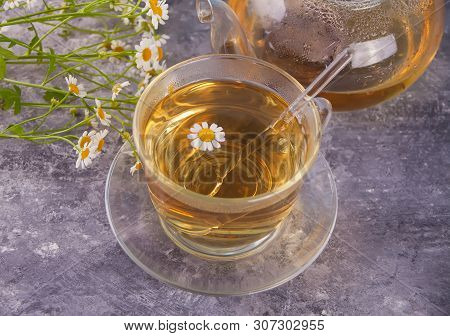 Glass Of Healthy Herbal Camomille Tea. Naturopathy. Matricaria Chamomilla.