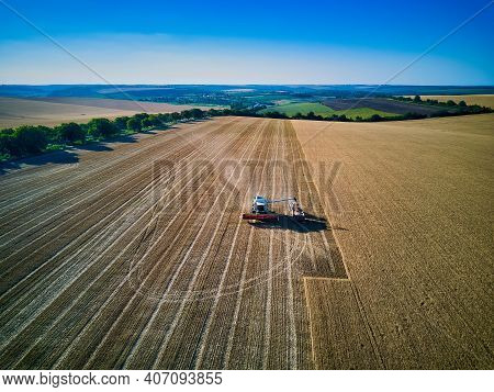 Aerial View On Combine Harvester Gathers The Wheat At Sunset. Harvesting Grain Field, Crop Season. V