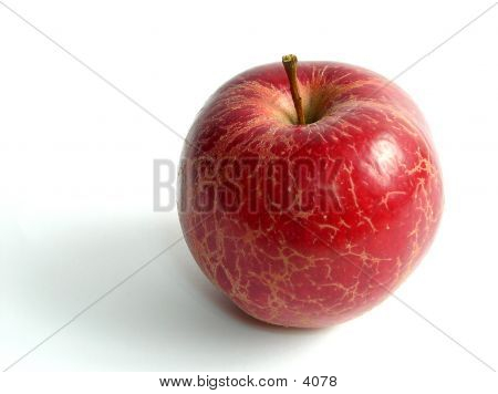 Apple On White Background