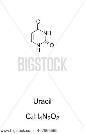 Uracil, U, Chemical Formula And Skeletal Structure. Nucleobase And A Pyrimidine Derivatives, One Of 