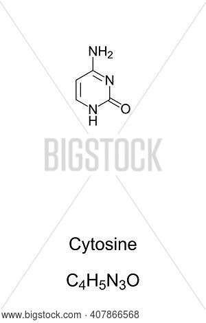 Cytosine, C, Cyt, Chemical Formula And Skeletal Structure. Nucleobase And Pyrimidine Derivative, One