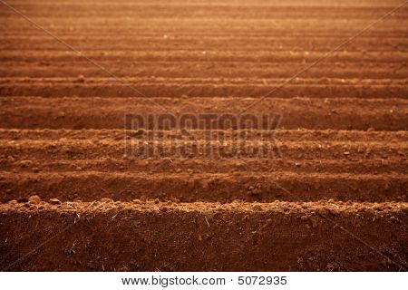 Domaines de l'Agriculture sol labouré d'argile rouge