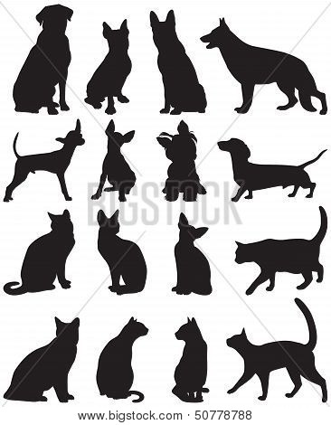 Silhouettes Cats And Dogs