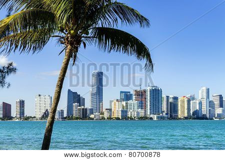 Miami Downtown Skyline