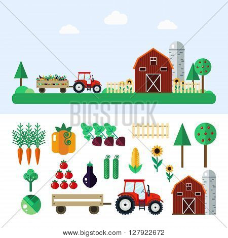 Farm with tractor, vegetables, barn, trees, sunflowers. Farm vector illustration. Farm concept. Farm set - carrot, pumpkin, beet, cabbage, tomato, eggplant, cucumber, corn. Farm vector set in flat style.