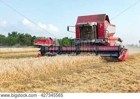 Wheat Harvesting On Field In Summer Season. Combine Harvester Harvests Ripe Wheat. Agriculture. Proc