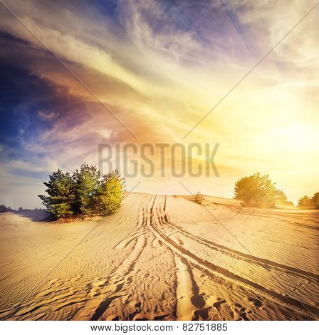 Road in the hot desert sand