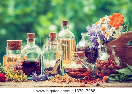 Bottles Of Tincture Or Potion And Dry Healthy Herbs, Bunch Of Healing Herbs In Wooden Box On Table O