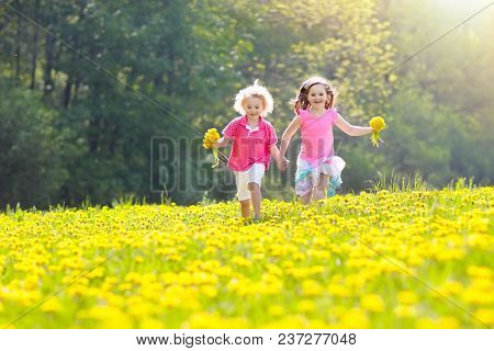 Kids Play. Child In Dandelion Field. Summer Flower