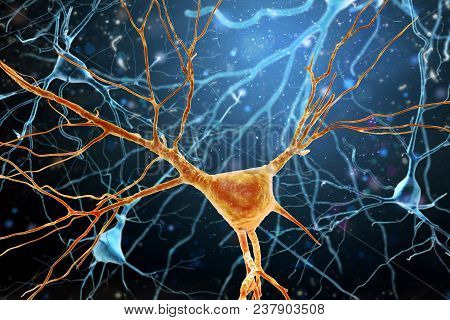 3d Illustration Of Human Brain Neurons Structure. A High Resolution.