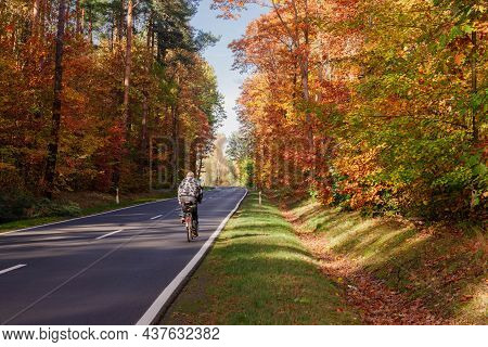 Asphalt Road Through Deciduous Forest. The Roadside Is Covered With Green Grass. Deciduous Trees Gro