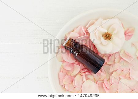 Bottle of essential oil with rose pink petals and flower, on clay plate, top view, safe, natural and aromatic skincare ingredients.