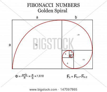 The Fibonacci Spiral