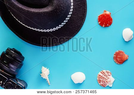 Camera, Black Hat And Sea Shells On Blue Background For Travel Accessories And Relaxation Concept