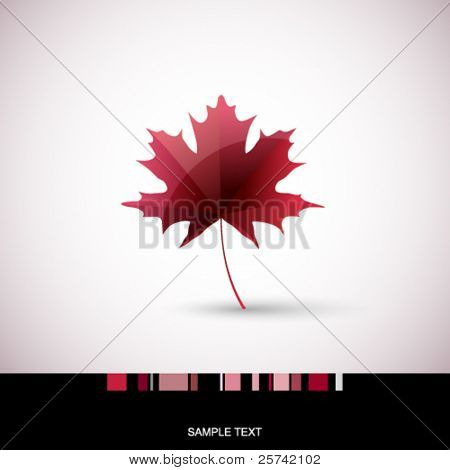 Card with autumn maple leaf