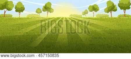 Lawn Background Landscape Vector. Green Field, Spring Grass, Summer Meadow, Garden Tree, Park Plant 