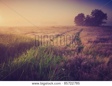 Vintage Photo Of Morning Foggy Meadow In Summer. Rural Landscape