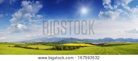 Spring Meadow In Mountains