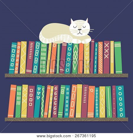 Books On Shelves With White Cat. Different Color Books With Ornament On Shelf. Cat Sleeping On Books