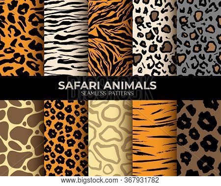 Animal Fur Seamless Pattern Backgrounds, Vector Set Of Leopard, Tiger, Zebra And Giraffe Skin Print.