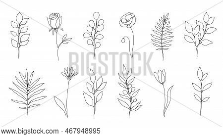 Flower, Floral Leaf One Line Art. One Continuous Line Art Leaf, Flower Minimal Design. Editable Stro