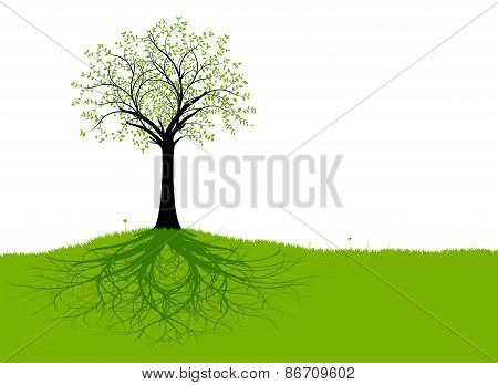 Vector Tree And Roots