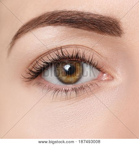 closeup of brown eye. Beautiful macro image of female eye with makeup. Perfect shape of eyebrow. Cosmetics and make-up. Fashion natural eye visage. Hazel eye looking at camera