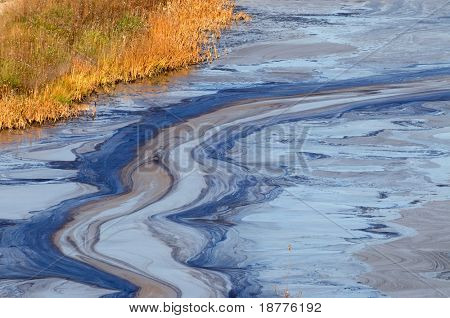 Closeup of an oil slick in water with fall colors in the grass on the shore