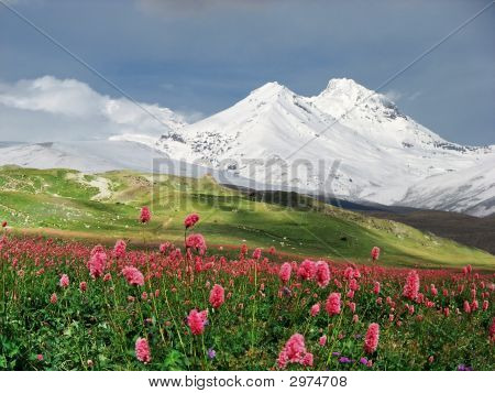 Mountains Of The Caucasus.